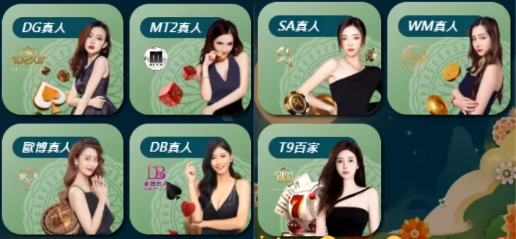 金大發財神娛樂城真人視訊系統