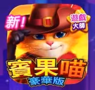 爆有錢Online賓果喵豪華版